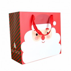 Пакет картонный Новогодний с ручками (Дед мороз) , 25*10*21см