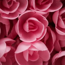 'Розы большие розовые' вафельное украшение,5 шт 5485089