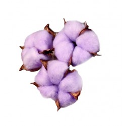 Декор сухоцвет Хлопок d-5 см, 5 см, фиолетовый 7081250